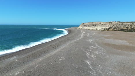 forward aerial movement along the sweeping coastline with sandy shores and turquoise ocean waters, punta delgada, peninsula valdes, argentina.