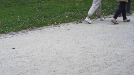 the legs of three people walking together on a park path next to a green grass lawn