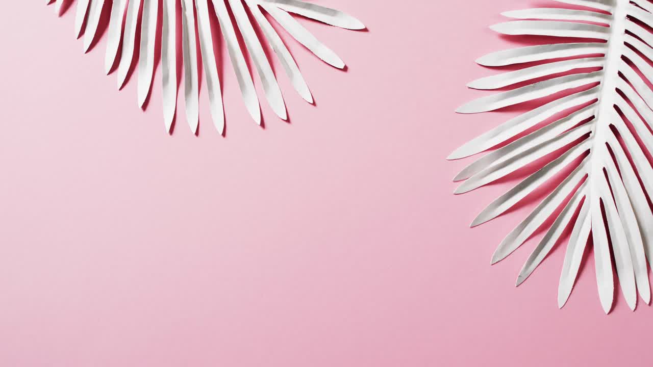 video de hojas de plantas blancas con espacio de copia en fondo rosa