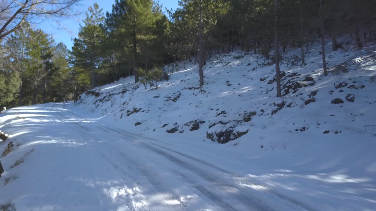 Aerial low shot of a snowed road in the woods full of mediterranean pines