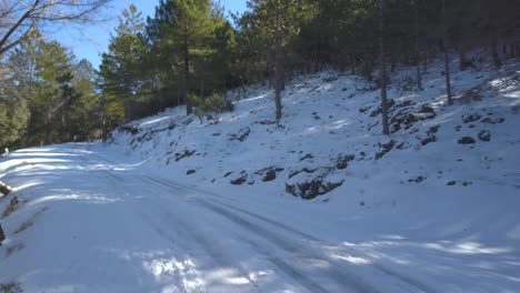 Toma-Aérea-Baja-De-Una-Carretera-Nevada-En-El-Bosque-Lleno-De-Pinos-Mediterráneos