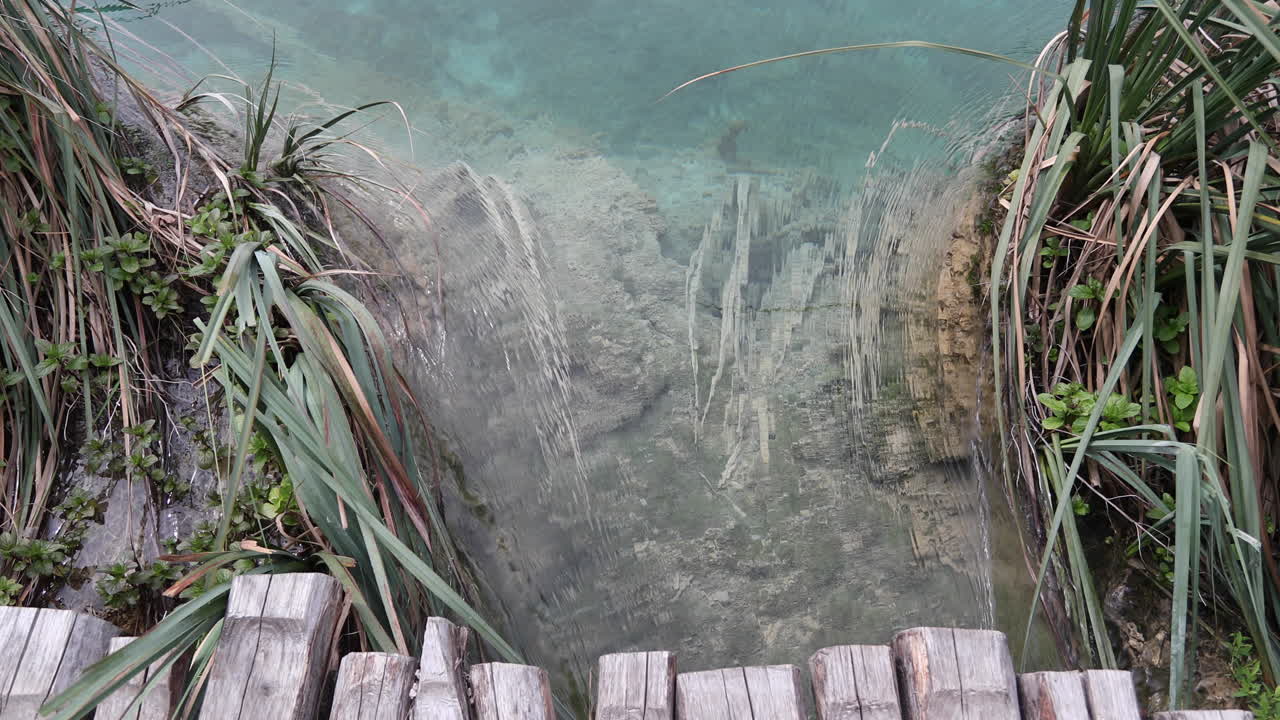 플리트비체 4k 27