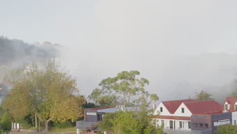 Geothermal-steam-fills-the-air-in-Rotorua-New-Zealand