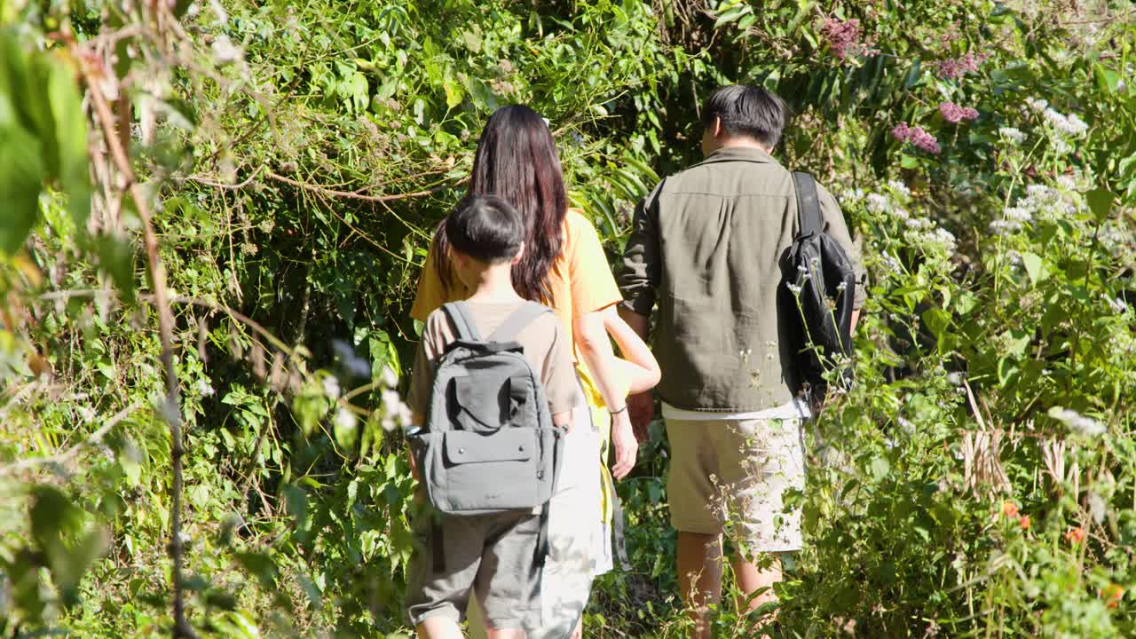 晴れた日、緑豊かな植物の中をアジア人の家族がカメラから遠ざかるように歩いています。