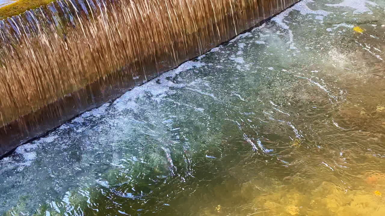 Cascata d'acqua tranquilla che scorre dolcemente su una barriera di pietra, creando una piscina serena in un rigoglioso ambiente naturale durante una giornata luminosa.