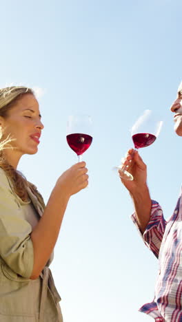 pareja feliz tomando un vaso de vino tinto en el campo