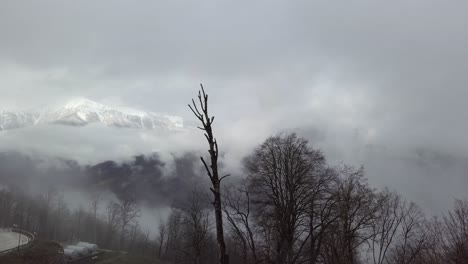 misty mountain landscape with dead tree