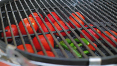 zamknij się z płytkiej głębi ostrości pomidorów na bbq otoczony chilis