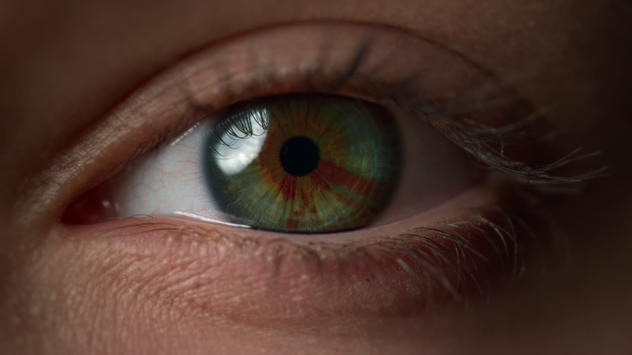 macro de ojos azules femeninos extremadamente hermosos. vista de cerca del movimiento del ojo de la mujer