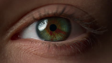 extremely macro of beautiful female blue eyes. close up view of motion woman eye