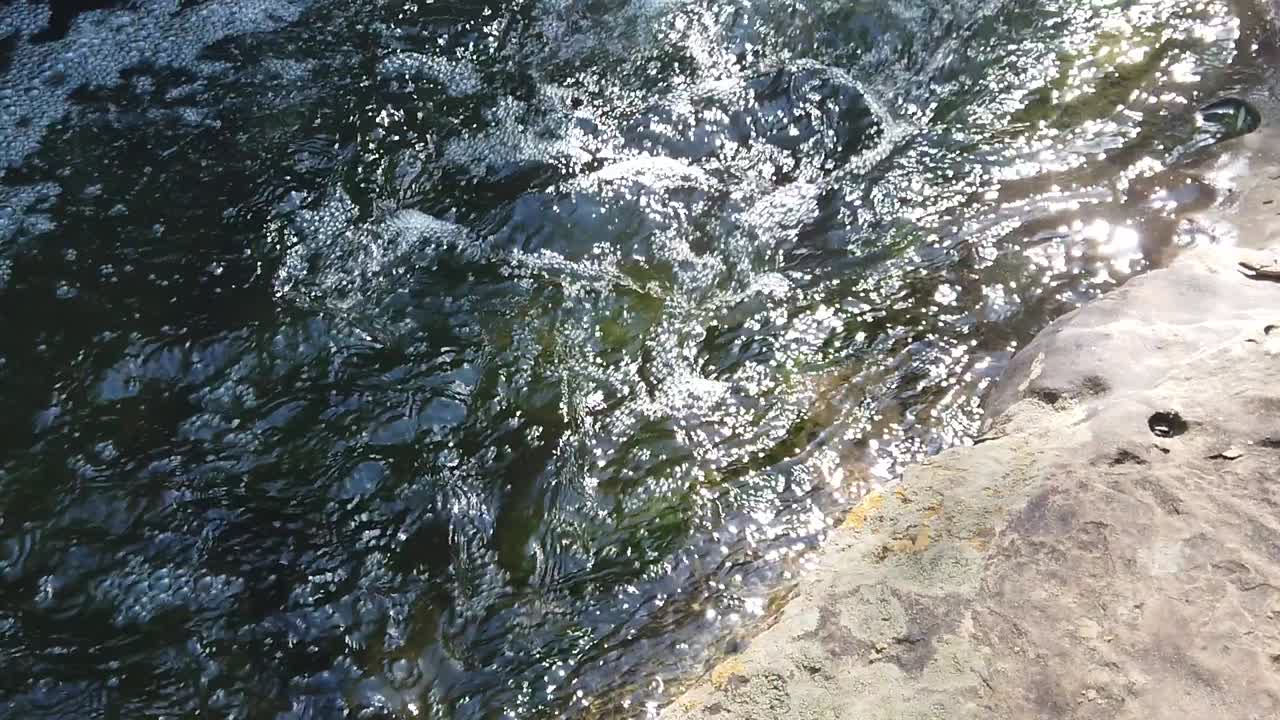 Questo è un video al rallentatore dell'acqua che scorre attraverso Stone Creek a Flower Mount, Texas.