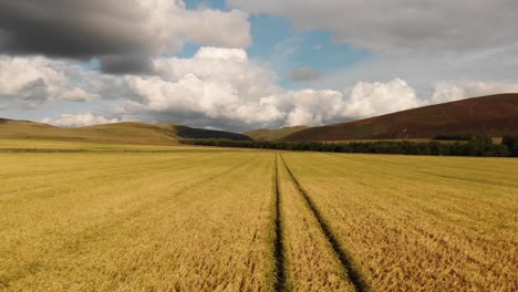 wheat fields in the pentland hills, scotland- aerial view