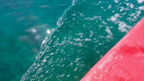 boat wake from a small red boat in green ocean on a tropical island in timor leste, south east asia