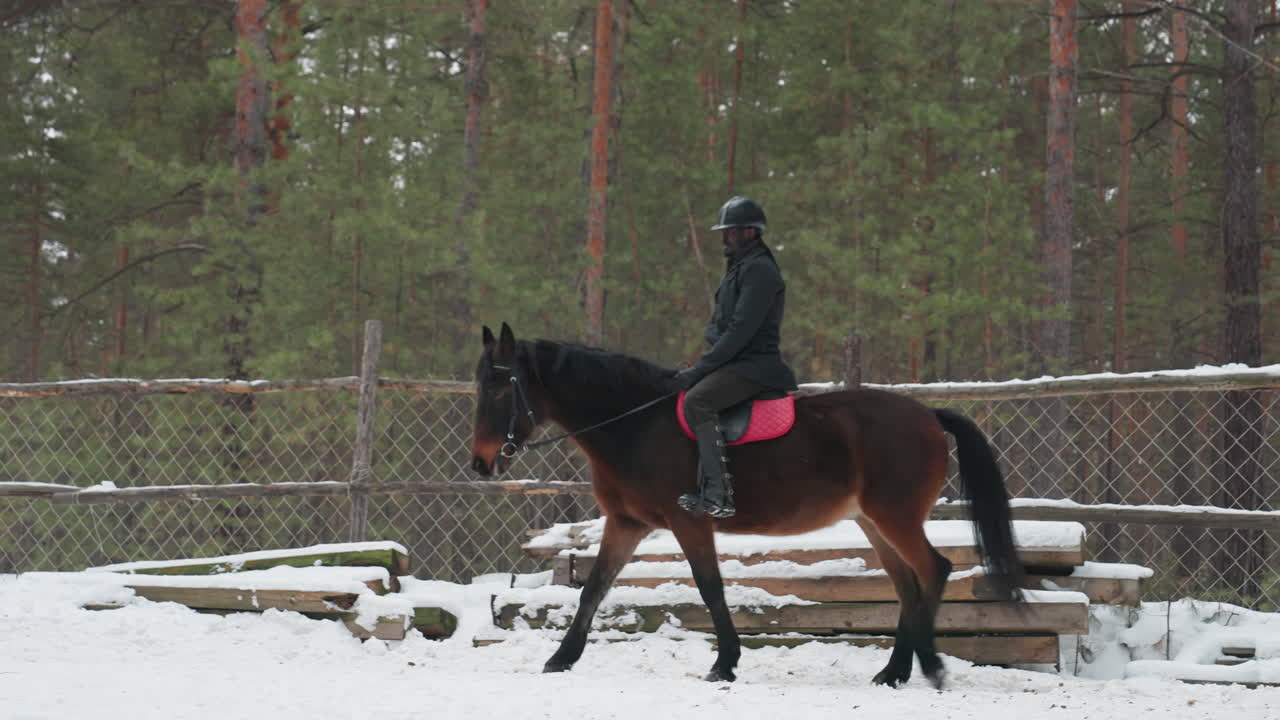 Темнокожий мужчина верхом на лошади на заснеженной арене выполняет упражнение, контролируемая рысь и сосредоточенная осанка, розовый вальтрап, всадник в шлеме тренирует равновесие и ритм среди сосен и огороженной тренировочной площадки