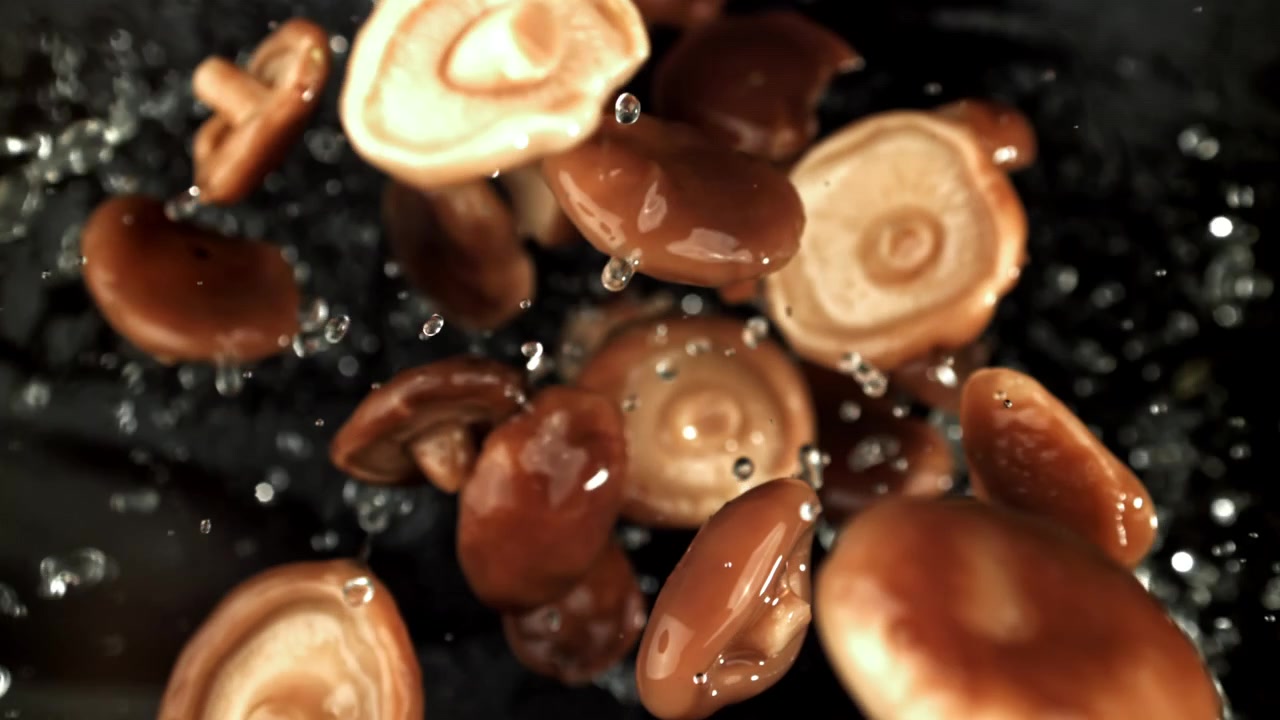Cogumelos Shiitake Frescos Salpicando com Água em Câmera Lenta