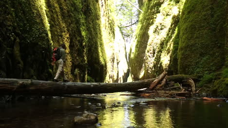 a man hikes with a walking stick across a fallen tree in a deep gorge