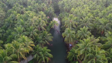 aerial view of people swinging on rope attached to bent palm tree above water