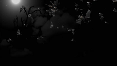 bats animation halloween black bats flying 4k on green screen background horror halloween grunge