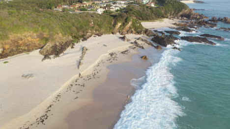 waves breaking on australian new south wales coastal town beach, aerial view