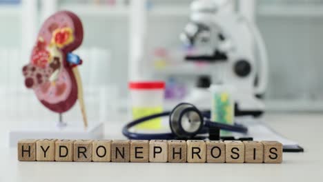 hydronephrosis medical concept