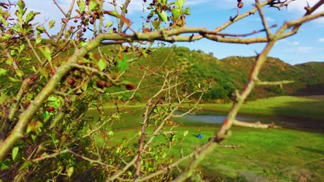 a pretty Tamezguida lake at the top of the Algerian Atlas mountain