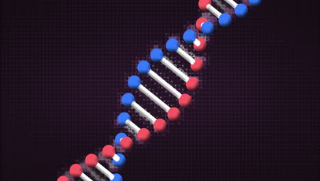 animación de una cadena de adn en movimiento sobre un fondo negro