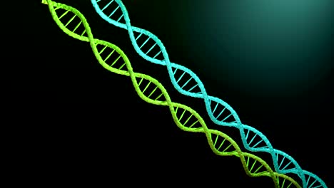 movimiento de la cadena de dna. animación 4k, 3d