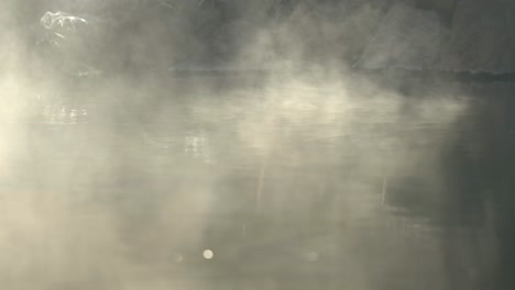 Enticing Idaho hot spring steam waves against light
