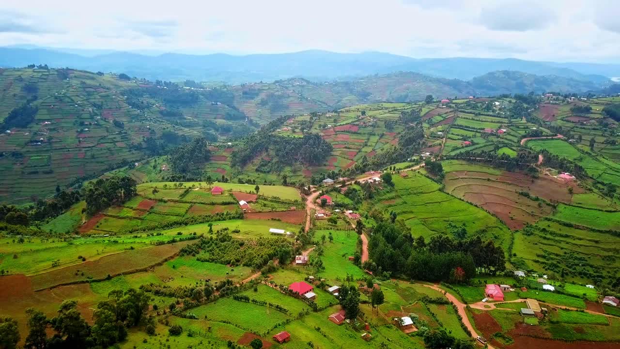 Rolling Green Hills With Lush Farms And Plantations In Uganda - aerial drone shot
