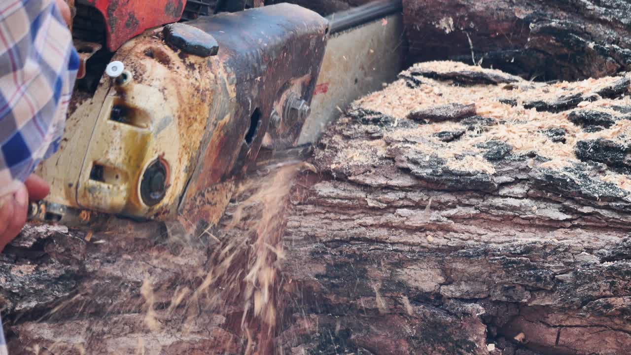 Desmatamento, conceito de corte de floresta