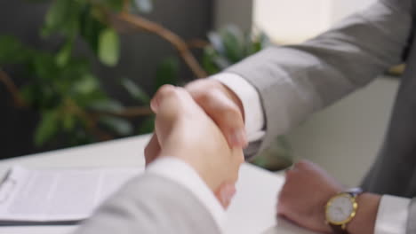 business handshake of two male executives