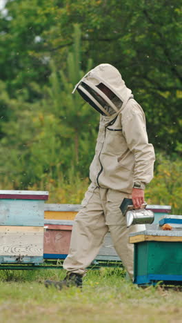 Apiarist standing at his farm with tools and equipment in hands. Man in protective outfit looks at numerous bees swarming around. Vertical video