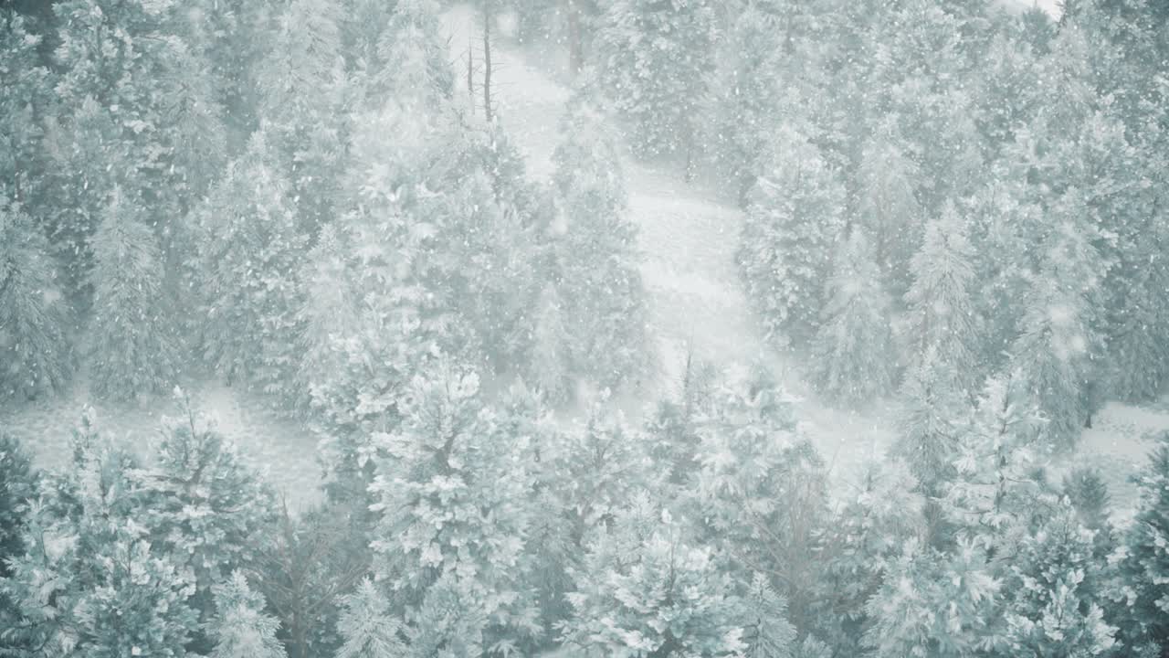 nevicata invernale nella foresta, gentile bella mattina di natale innevata con neve cadente. paesaggio invernale. sfondo natalizio. alberi coperti di neve. nebbia. animazione a loop 3d ultra realistico