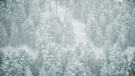 winter snowfall in the forest, gentle lovely snowy christmas morning with falling snow. winter landscape. christmas background. snow covered trees. fog. ultra realistic 3d seamless loop animation