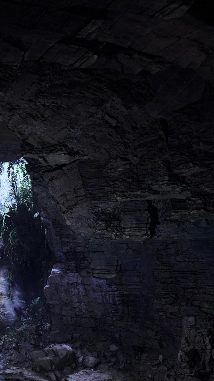 Grotta con luce che filtra attraverso l'apertura e piante che crescono all'interno.