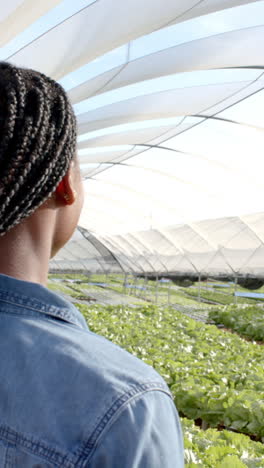 vertical video: inspecting hydroponic farm, woman observing organic vegetable growth in greenhouse