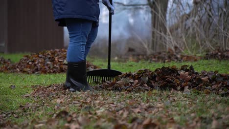 cleaning of fallen autumn leaves