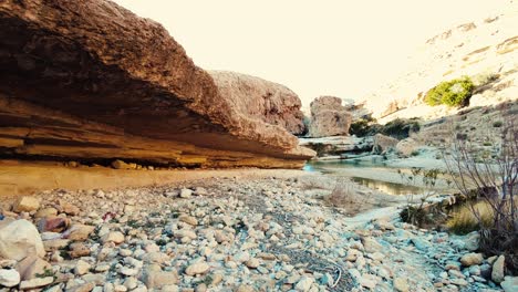 Ein-Fluss-Mitten-In-Der-Sahara,-Algerien,-Biskra