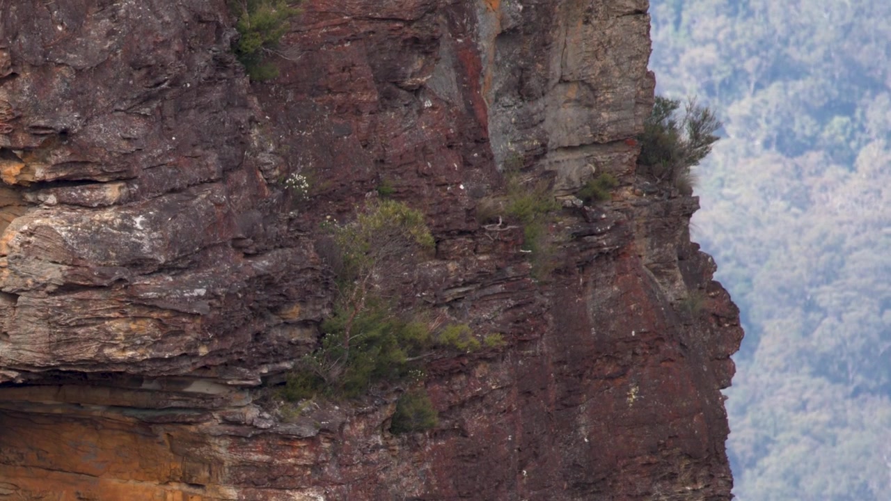 Slow camera pan across rugged sandstone cliffs overlooking a hazy forest in Katoomba, Australia.