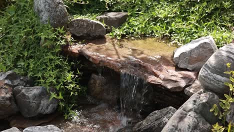 small water feature in a garden