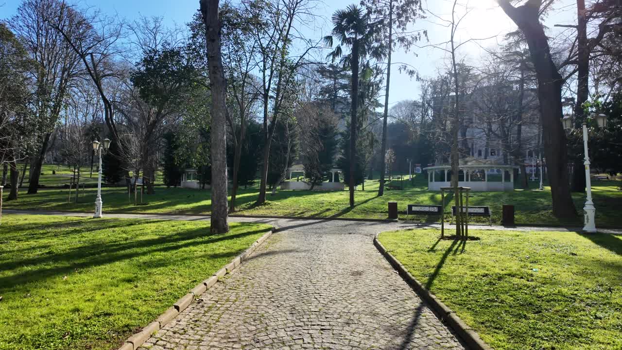 Sentiero acciottolato in un parco soleggiato con erba verde e alberi
