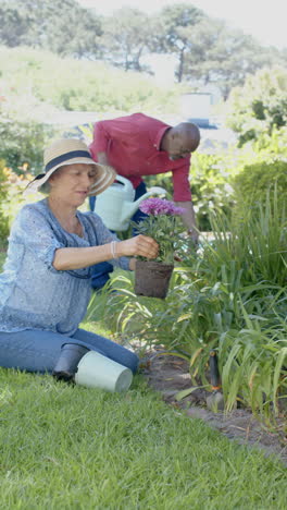 vertical video of happy senior biracial couple working in garden, slow motion