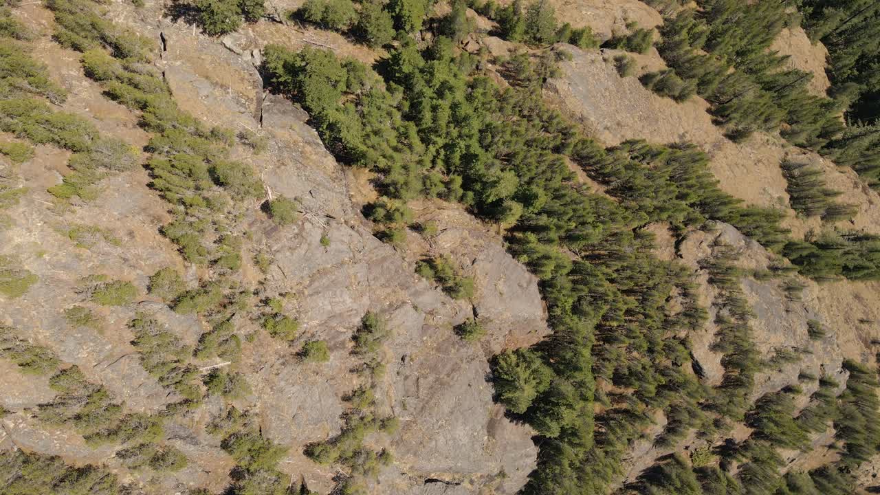 imágenes de drones de arriba hacia abajo de acantilados y bosque de pinos en squamish en bc, canadá