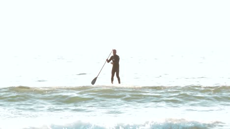 ein stand-up-paddle-boarder in tofino, british columbia, bei sonnenuntergang