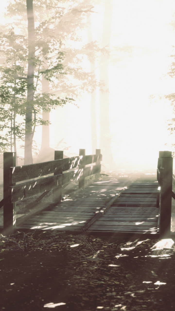 Casting a magical glow on a rustic wooden bridge nearby