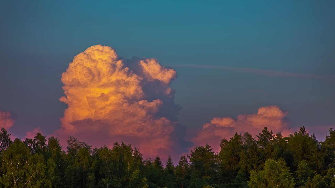 숲을 배경으로 뭉게뭉게 피어오르는 적운의 저속 촬영