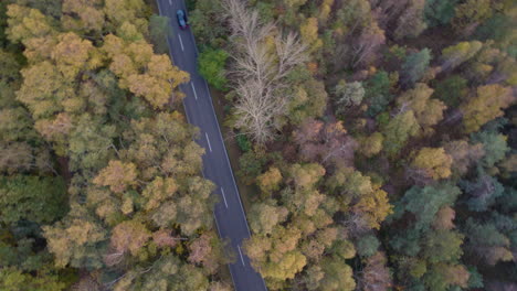 Fahrzeuge-Fahren-Durch-Die-Straße-Auf-Der-Halbinsel-Hel-Im-Wald-Mit-Herbstfarben