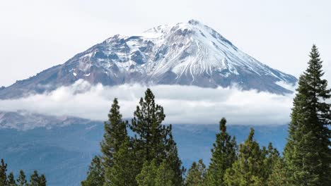 snow capped mount shasta in northern california from the sky