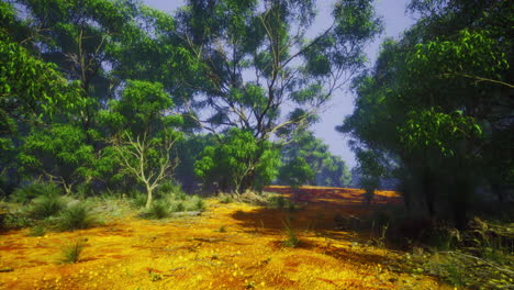 vibrant forest landscape filled with sunlight and lush greenery in autumn