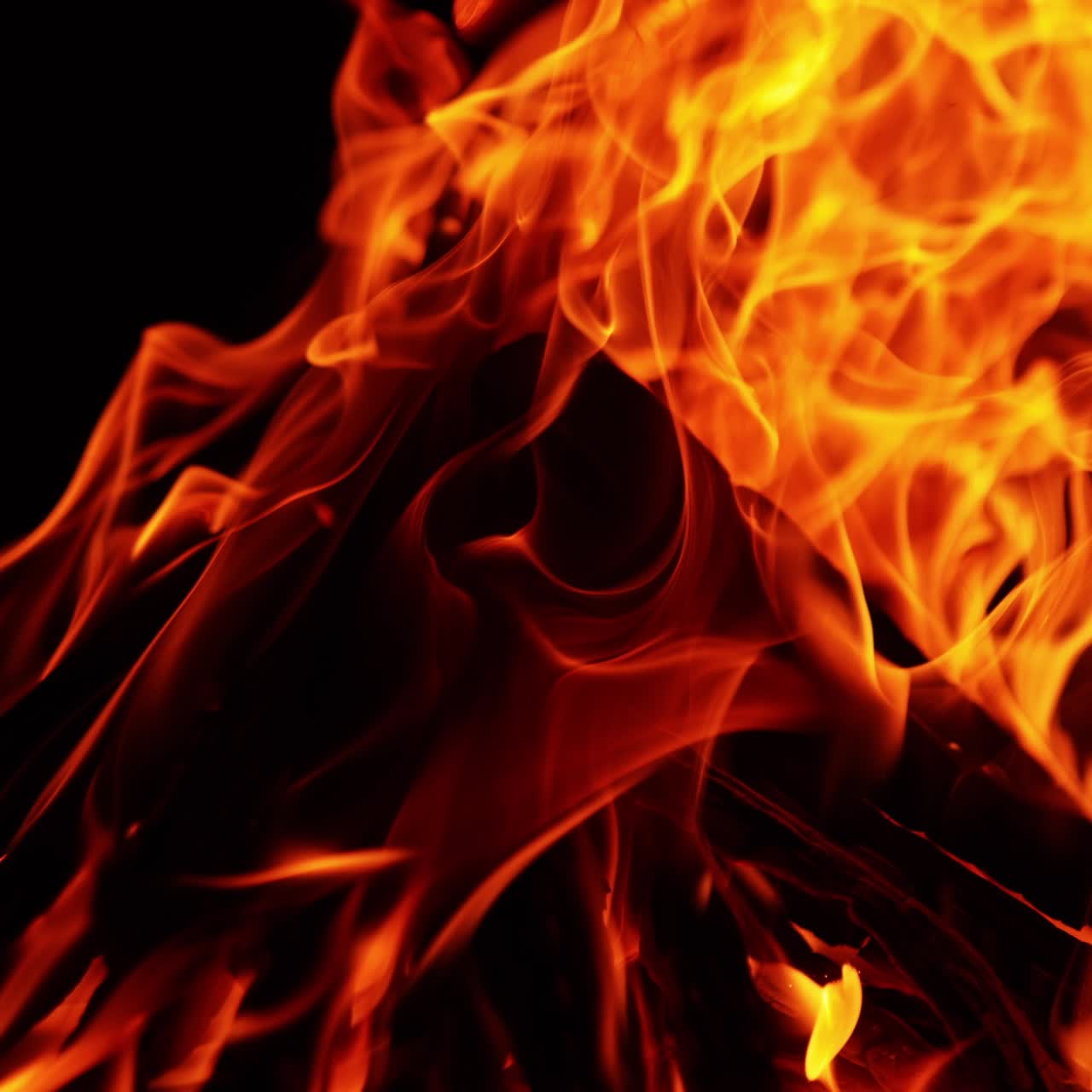 Wood stacked in a pyramid burn in the campfire. Isolated bonfire on the black backdrop. Close up